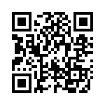 176153-2 QRCode