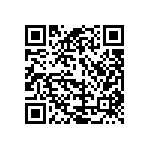 178-009-613R691 QRCode