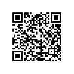 179-009-613R691 QRCode