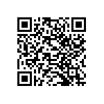 179-025-313R691 QRCode