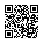 18251A333KAT16 QRCode