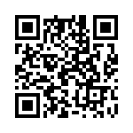 19300240297 QRCode