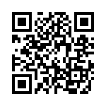 19300241266 QRCode