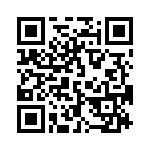 19300480293 QRCode