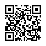 19370167297 QRCode