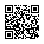 19396240545 QRCode