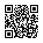 19461100291 QRCode