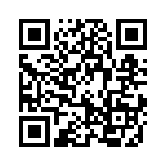 19463100545 QRCode