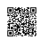 195-062-213L031 QRCode