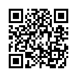 19511600001 QRCode