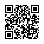 19R333C QRCode