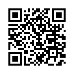 1N5373BG QRCode