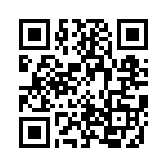 1PMT5943-TR13 QRCode