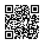 2-2029133-4 QRCode