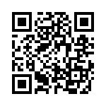 2-2029162-2 QRCode