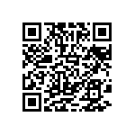 20020013-H101B01LF QRCode