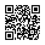 20104000531P QRCode