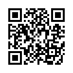 20111000001P QRCode