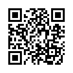 2013 QRCode