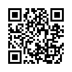 201R07S0R7BV4T QRCode