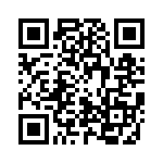 2020N331J302P QRCode