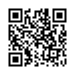 2029132-4 QRCode