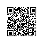 208458160002025 QRCode