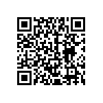 2225J0250181KFR QRCode