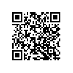 2225J2500273KDT QRCode