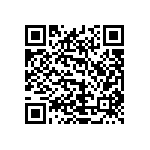 2225Y0250221KFT QRCode