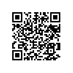 2225Y0250333KXT QRCode