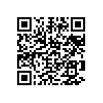 2225Y5000333KDT QRCode