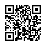 24291-31PG-300 QRCode