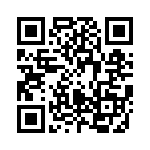 2450FB39B100E QRCode