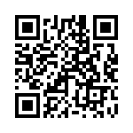 250R05L100GV4T QRCode