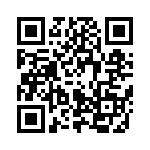 252A124A60TA QRCode