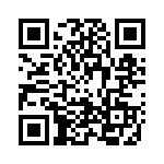 280613-1 QRCode