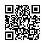 2903706 QRCode