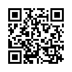 2904273 QRCode