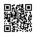 2905229 QRCode