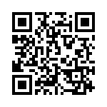 2907203 QRCode