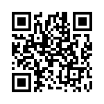 2907204 QRCode