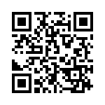 2907589 QRCode