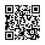 2981305 QRCode