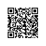 299-3-1RS11-00307238 QRCode