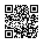 2M1DP3T2B4M7QE QRCode