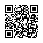 3-1617004-3 QRCode