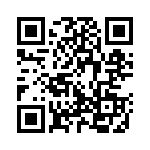 300001 QRCode