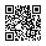 300100140285 QRCode