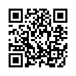 300100520120 QRCode